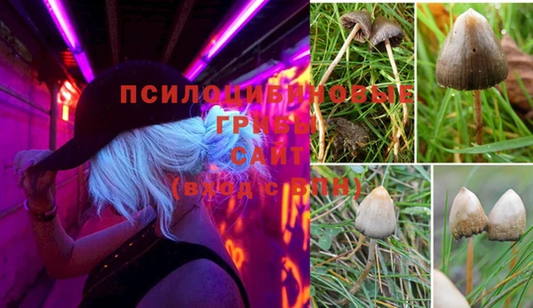МДМА Алексин