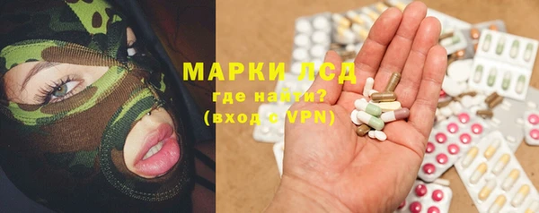 ECSTASY Алзамай
