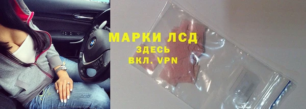 ECSTASY Алзамай