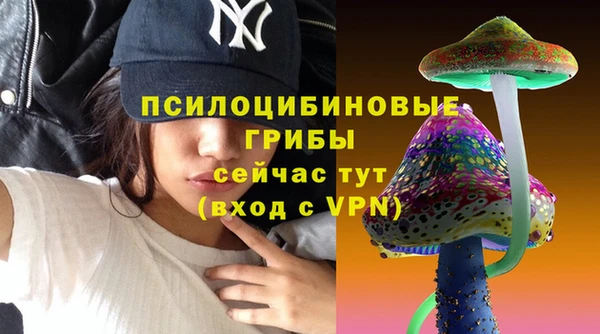 ECSTASY Алзамай