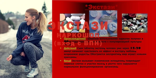 ECSTASY Алзамай