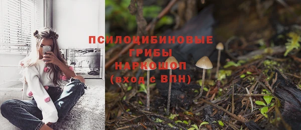mix Алексеевка