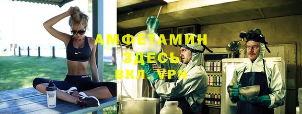 ECSTASY Алзамай