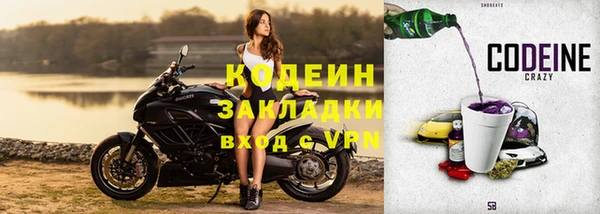 ECSTASY Алзамай