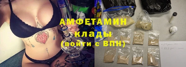ECSTASY Алзамай