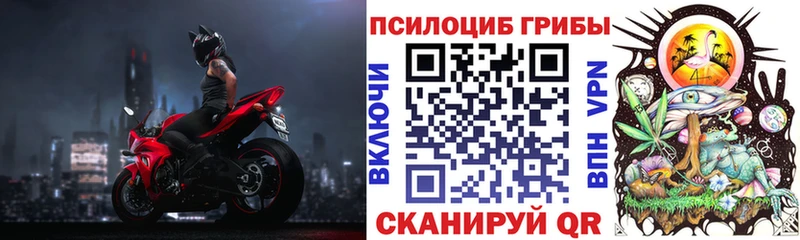 Галлюциногенные грибы Psilocybine cubensis купить сайты Серов